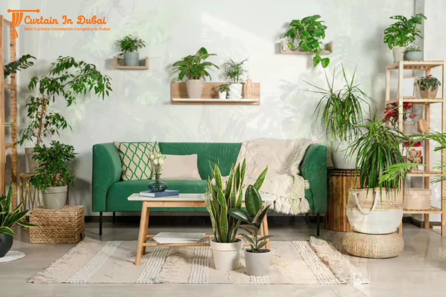 Tips & Tricks For Luxury Living Room Decor Plants Bring A Touch Of Nature Indoors