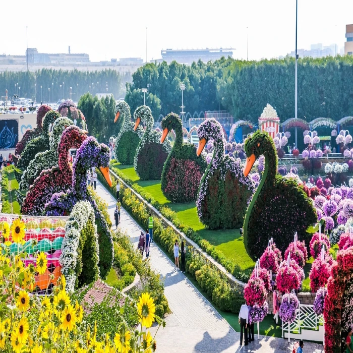 Places To Visit in Dubai Once in Life Dubai Miracle Garden