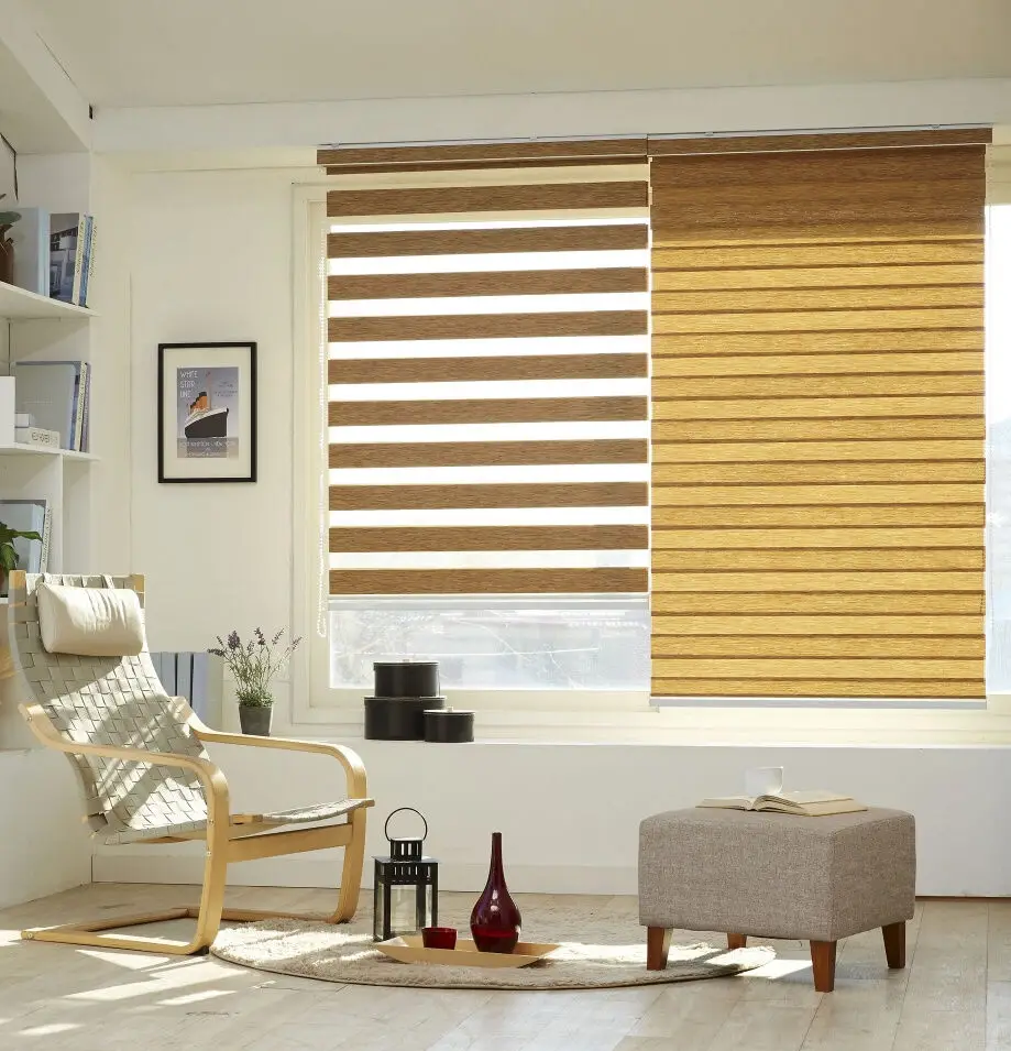 Window Duplex Blind